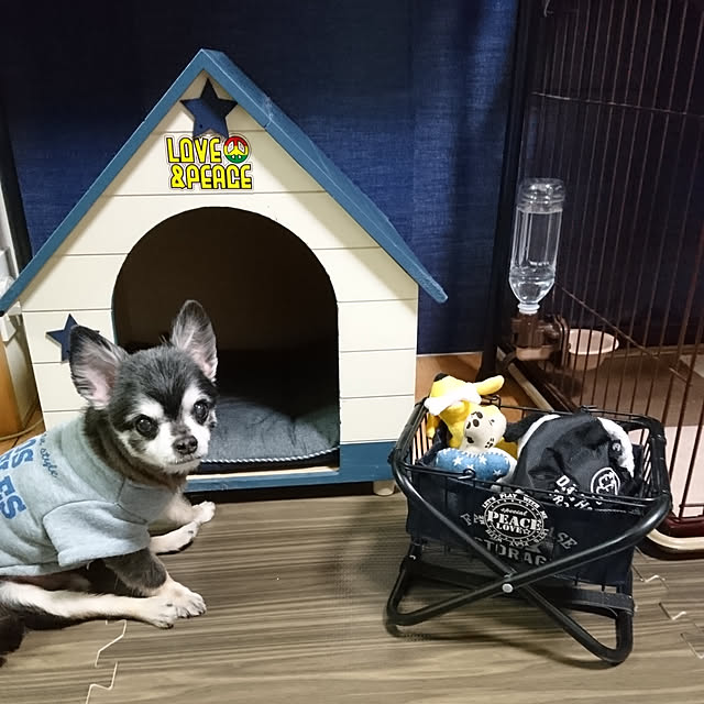 lovepeaceさんの実例写真
