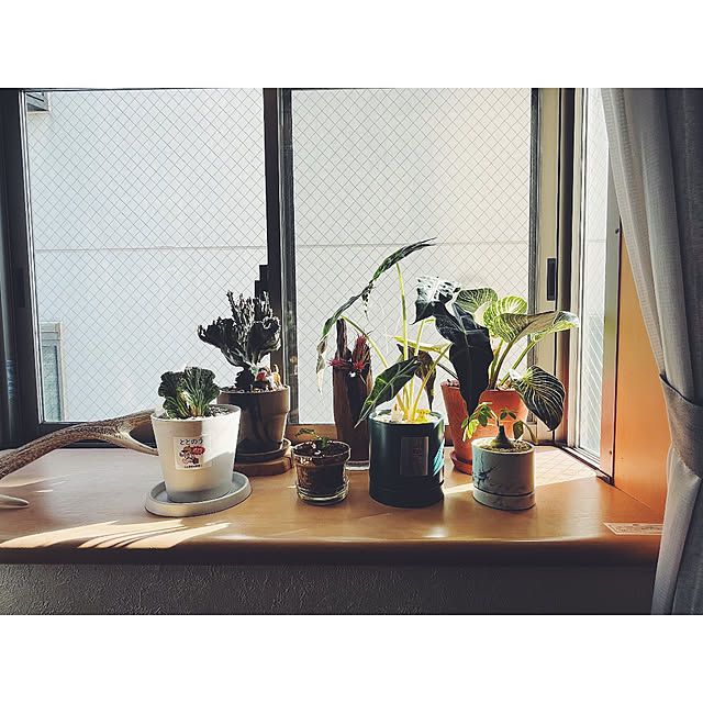 w_end_0625さんの実例写真