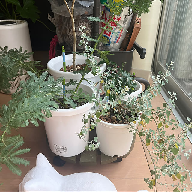 khaiさんの部屋