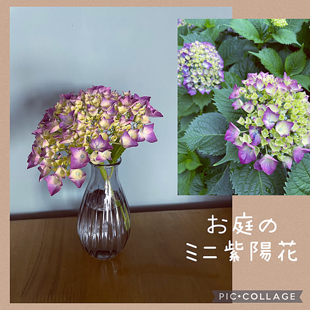 izuさんの実例写真