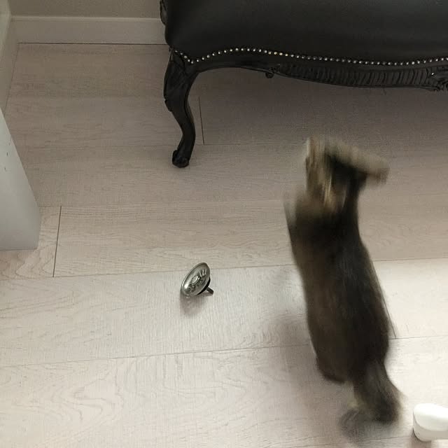 yuchiさんの実例写真
