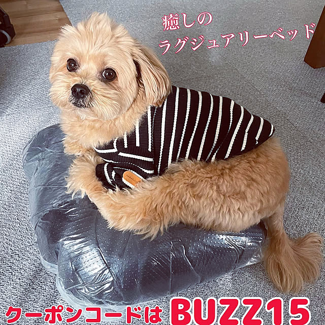 ikt.tamaさんの実例写真