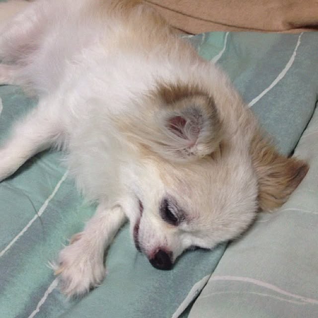 Takuさんの実例写真