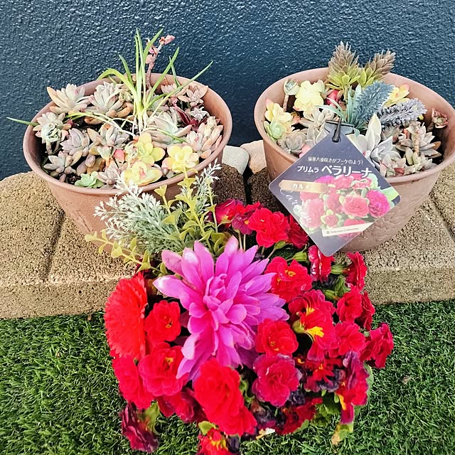 hikarin3さんの実例写真