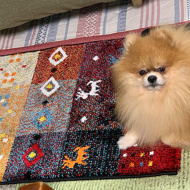 pichikoさんの実例写真