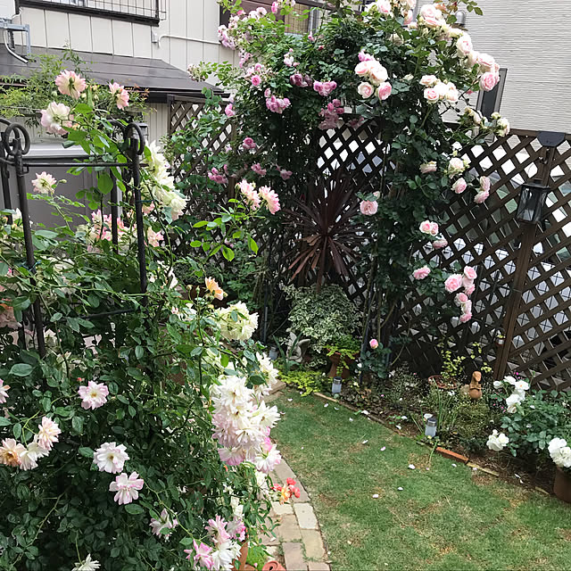 gin_mamaさんの実例写真