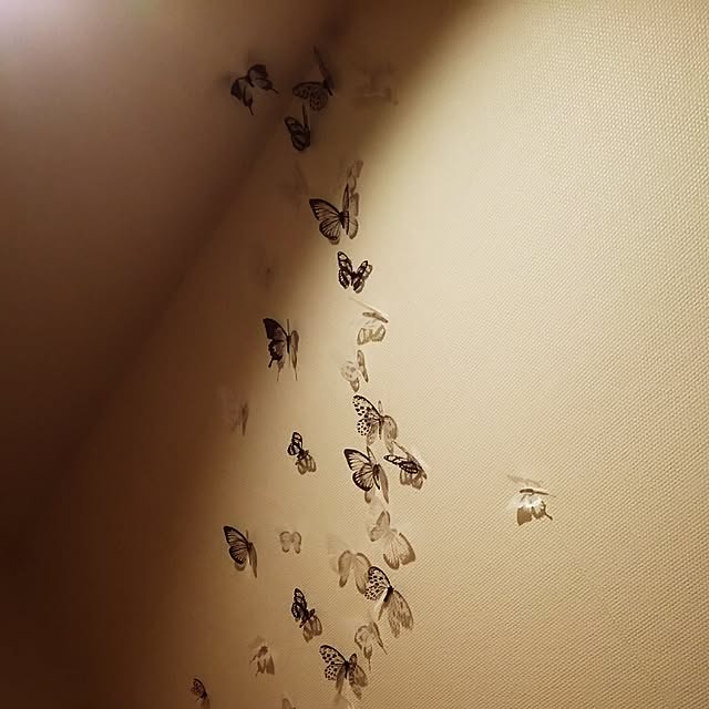 Shihoさんの実例写真