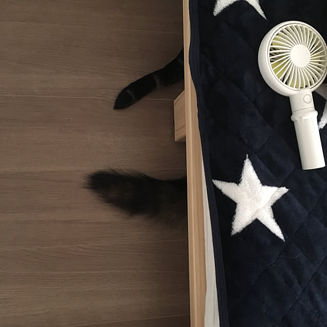 mikomaruさんの実例写真