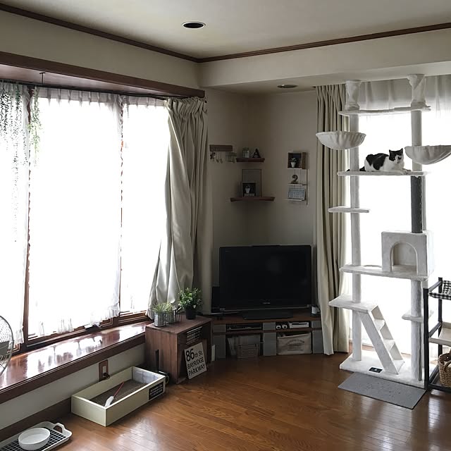 mahi1101さんの実例写真