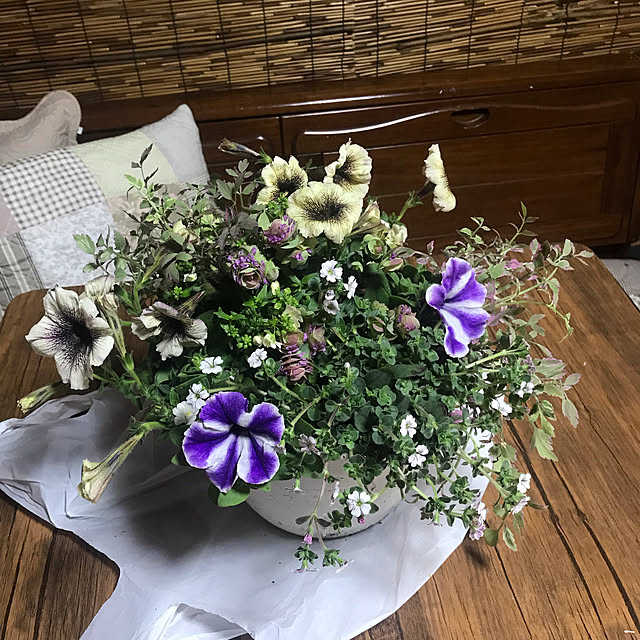 Miyokoさんの実例写真