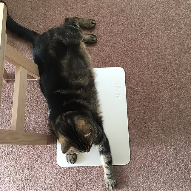 mikomaruさんの実例写真