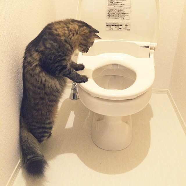 weさんの実例写真