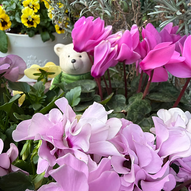 Aqettyさんの実例写真