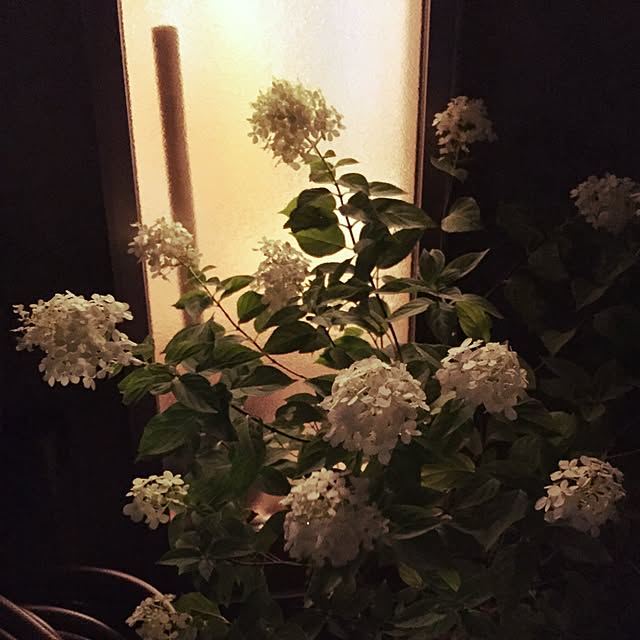marorinさんの実例写真