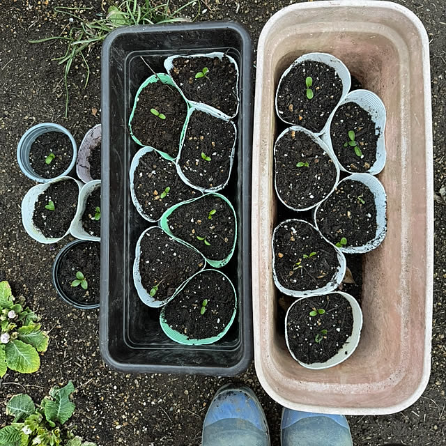 mamizaさんの部屋