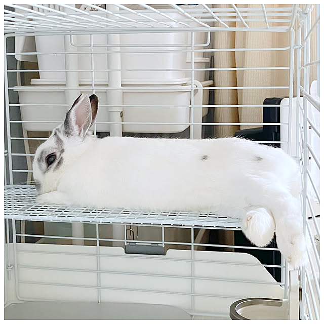 ksfioriさんの部屋