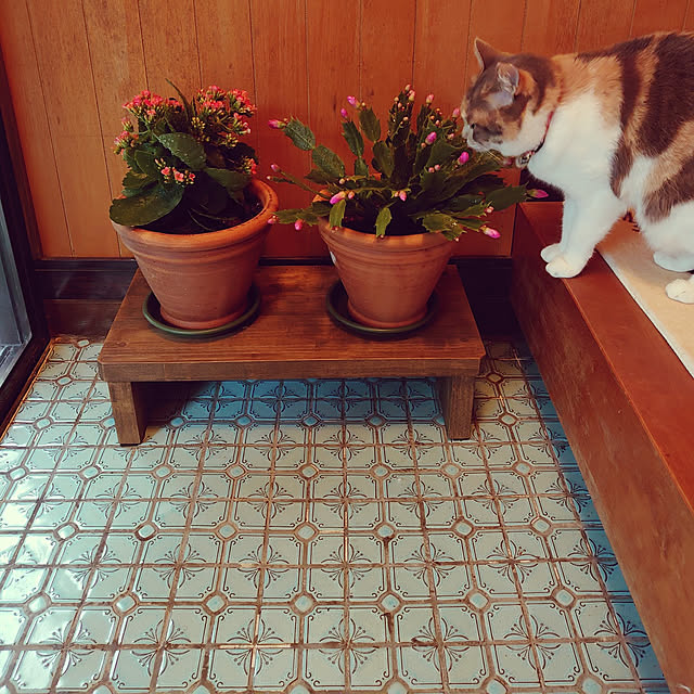 fukuさんの実例写真