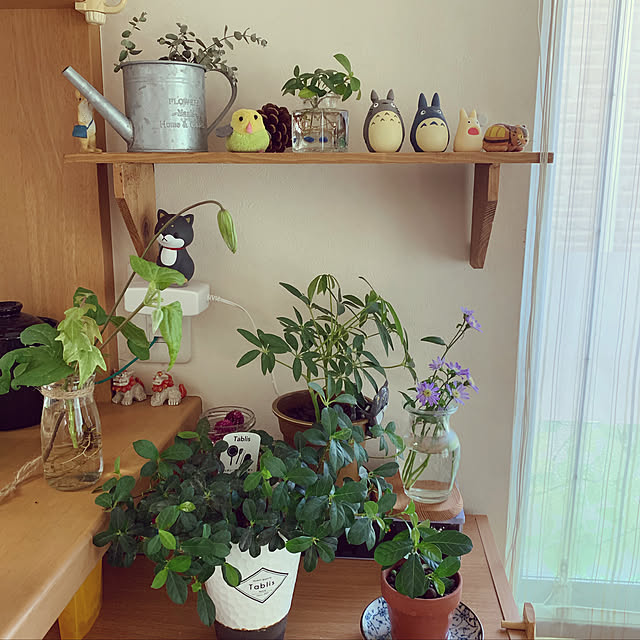 観葉植物/ナチュラル/棚のインテリア実例 - 2019-05-24 09:53:07