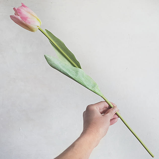 daily-order-mailさんの実例写真