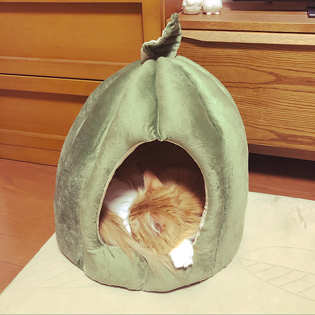 uchidaizuさんの実例写真