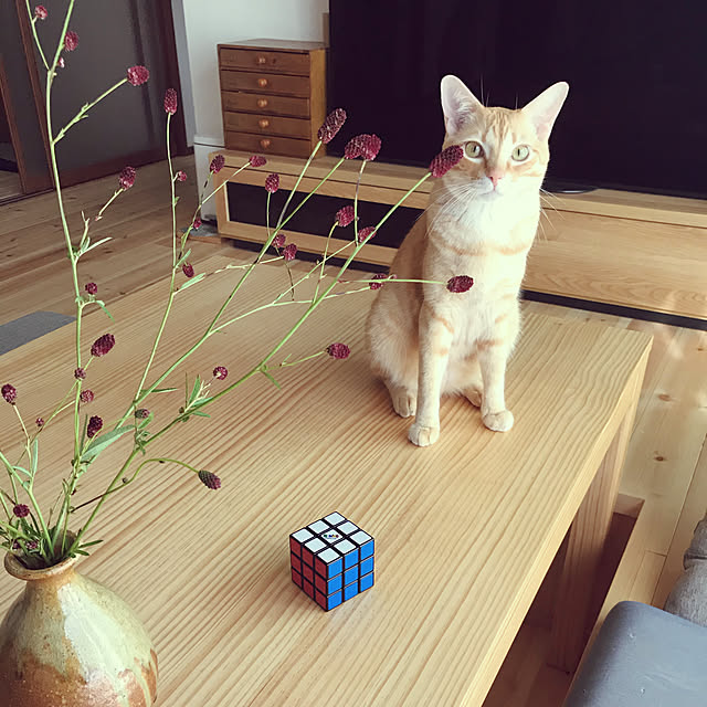 snowさんの実例写真