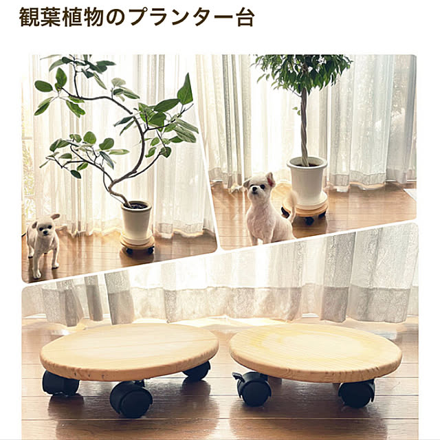 Kekoponさんの実例写真