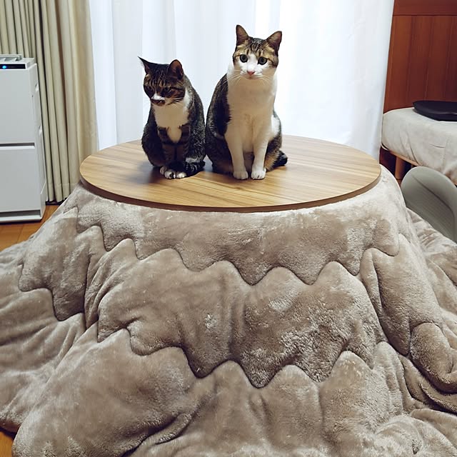 nachiさんの実例写真