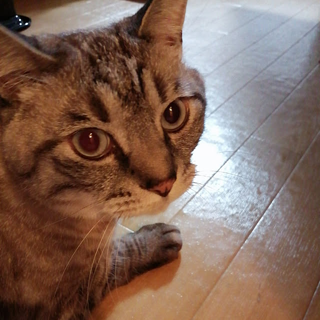 Manaさんの実例写真