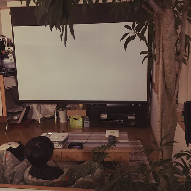 minagiさんの実例写真