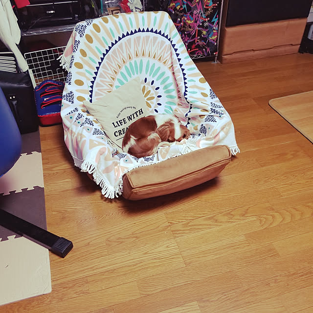 mintさんの実例写真
