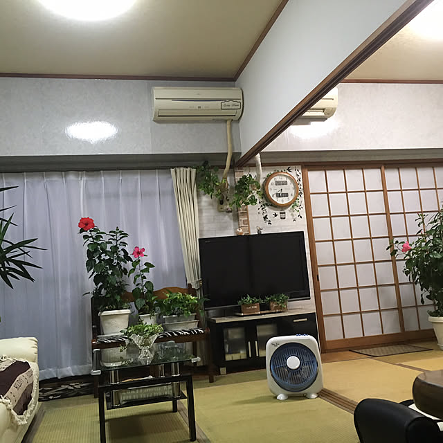 nanaさんの実例写真