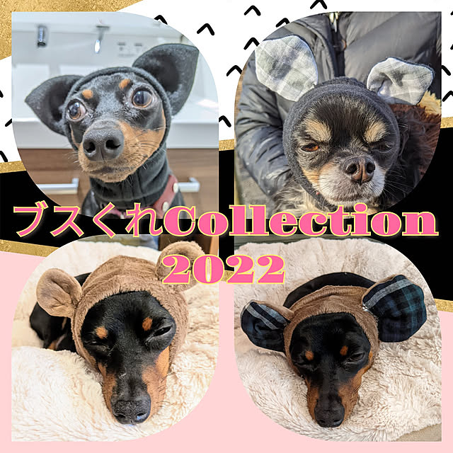 shizuponさんの実例写真