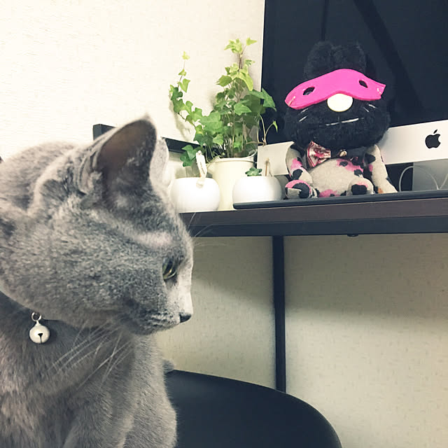 BackDropさんの実例写真
