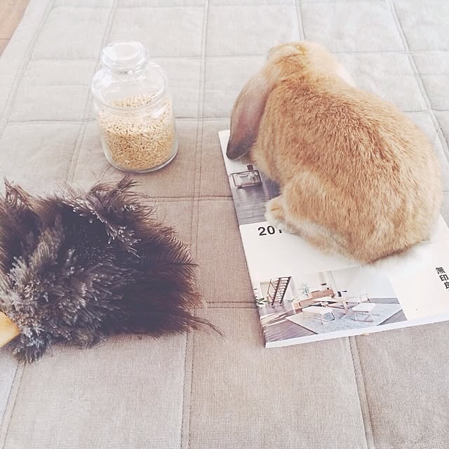 aoさんの実例写真