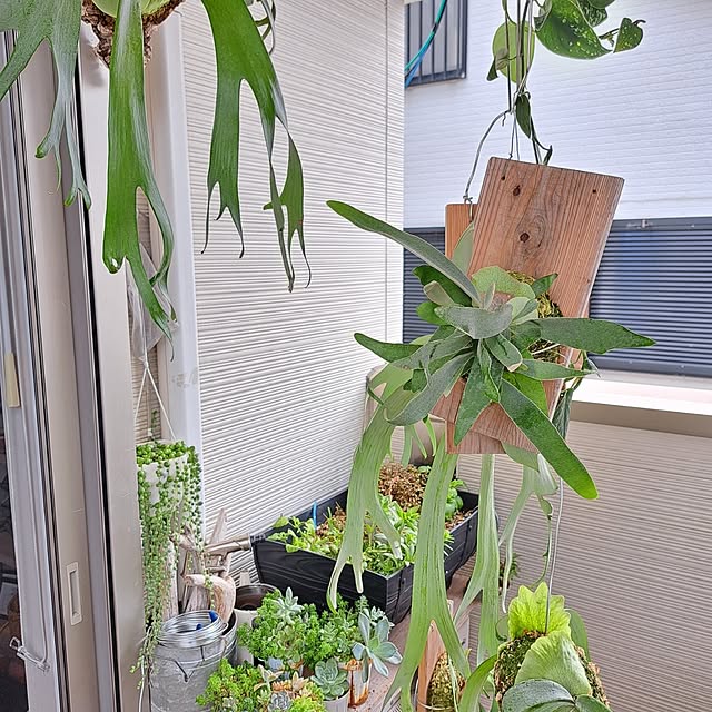 Jijiさんの部屋