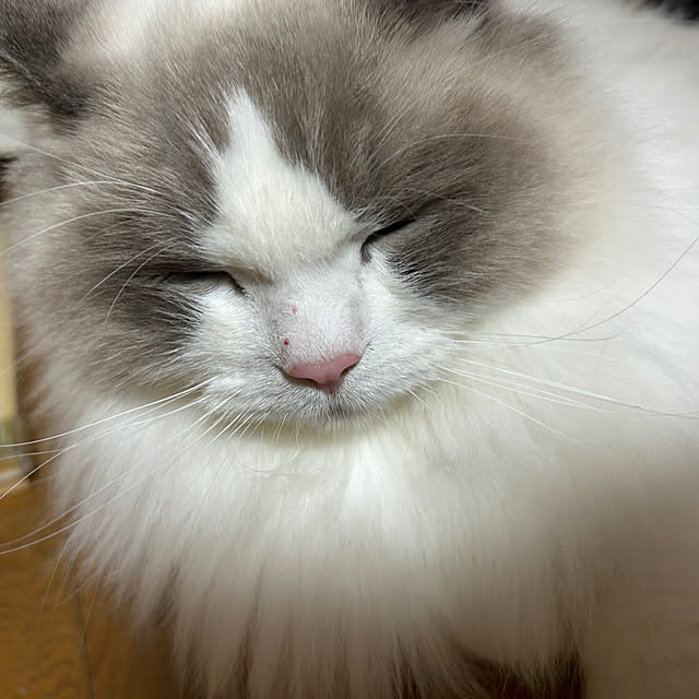 keibooさんの実例写真