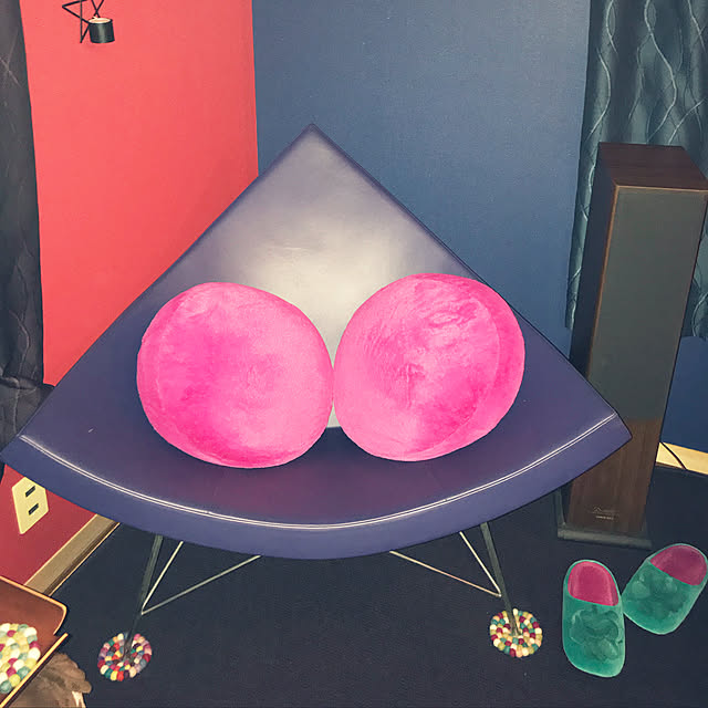 kanaさんの実例写真