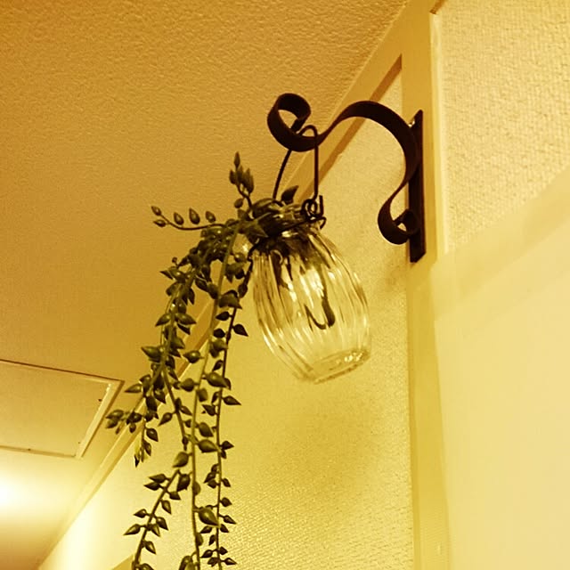 玄関/入り口のインテリア実例 - 2015-07-03 23:19:03