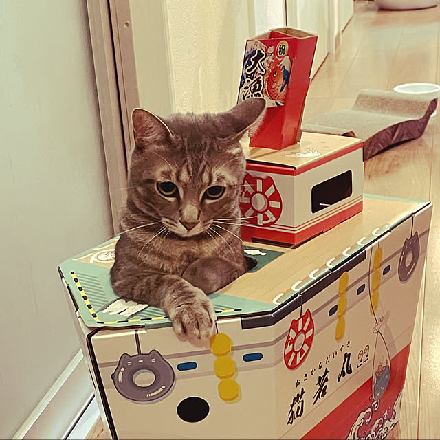 実例写真