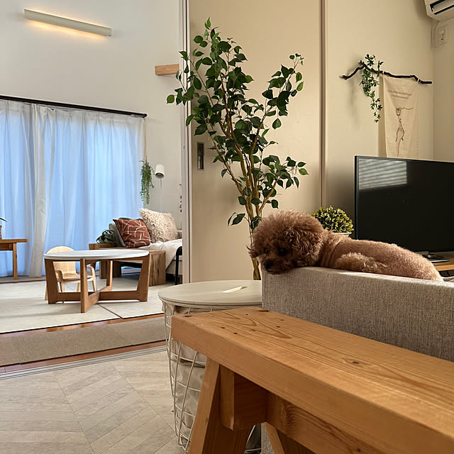 Tarutoさんの実例写真