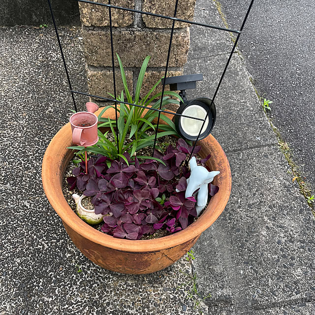 kikiさんの実例写真