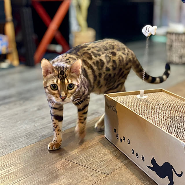 tututu0204さんの部屋