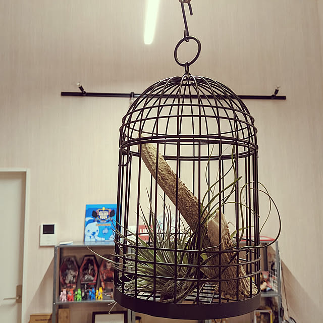 harapecoさんの実例写真