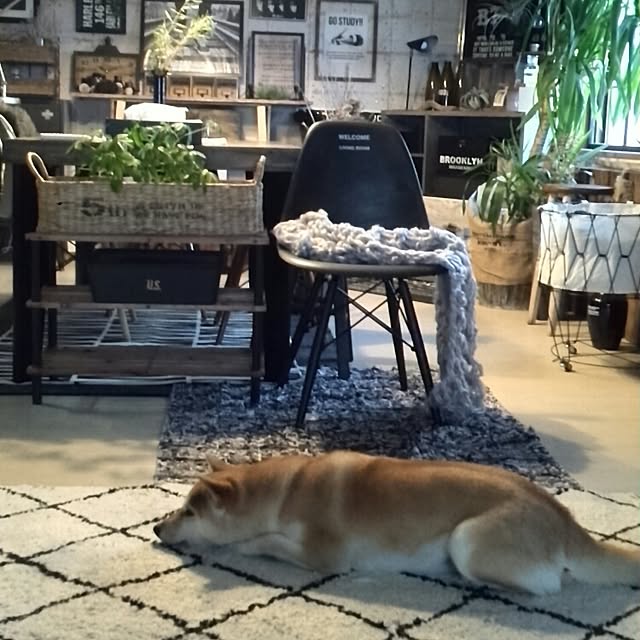 kさんの実例写真