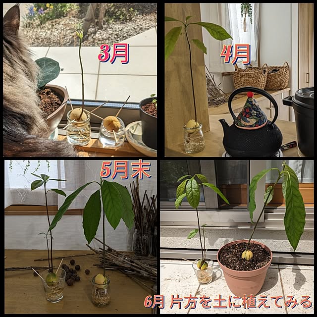 sayan_0321さんの部屋