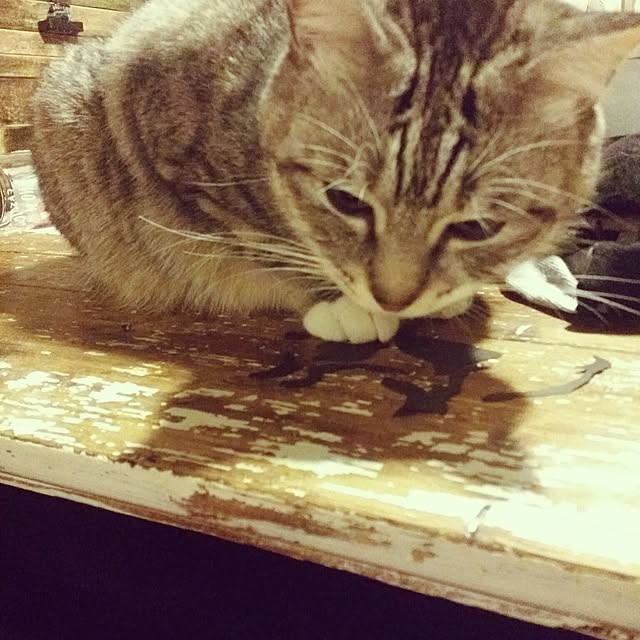 annさんの実例写真