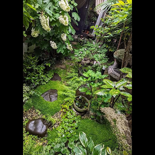 aromameさんの実例写真