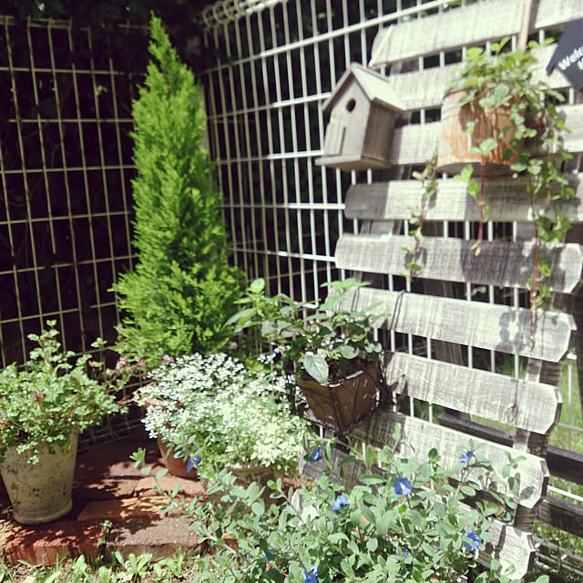 bellさんの実例写真