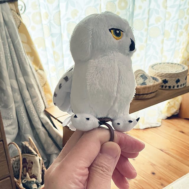 chiiyanさんの部屋