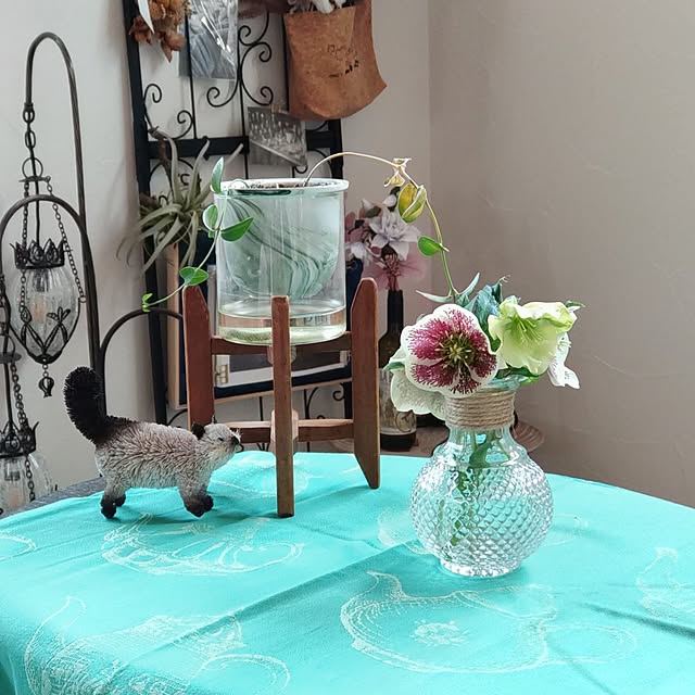 Maroさんの部屋